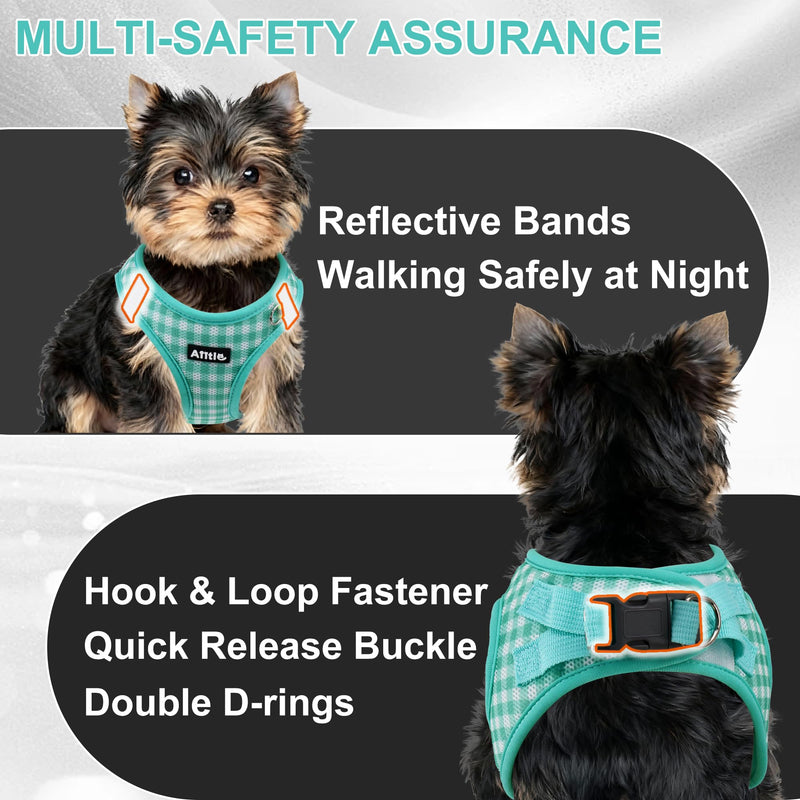 AIITLE No Pull Dog Harness and Leash Set, Step in No Chock Soft Mesh Dog Harnesses Reflective for Extra-Small Puppy Dogs and Cats, Plaid Dog Vest Harness for Pets Turquoise XXS - PawsPlanet Australia