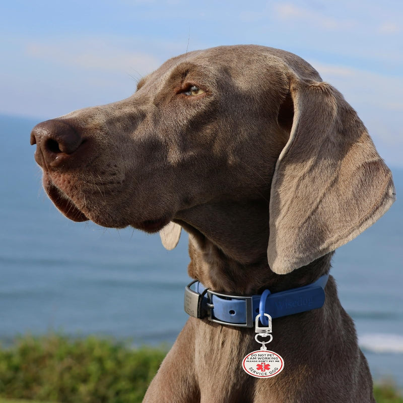 Do Not Pet Service Dog ID Tag, Double Side Engraved Easily Attach to Dog Collar, Harness or Vest (Medium-1.18 inch) Medium Do Not Pet Tag - PawsPlanet Australia