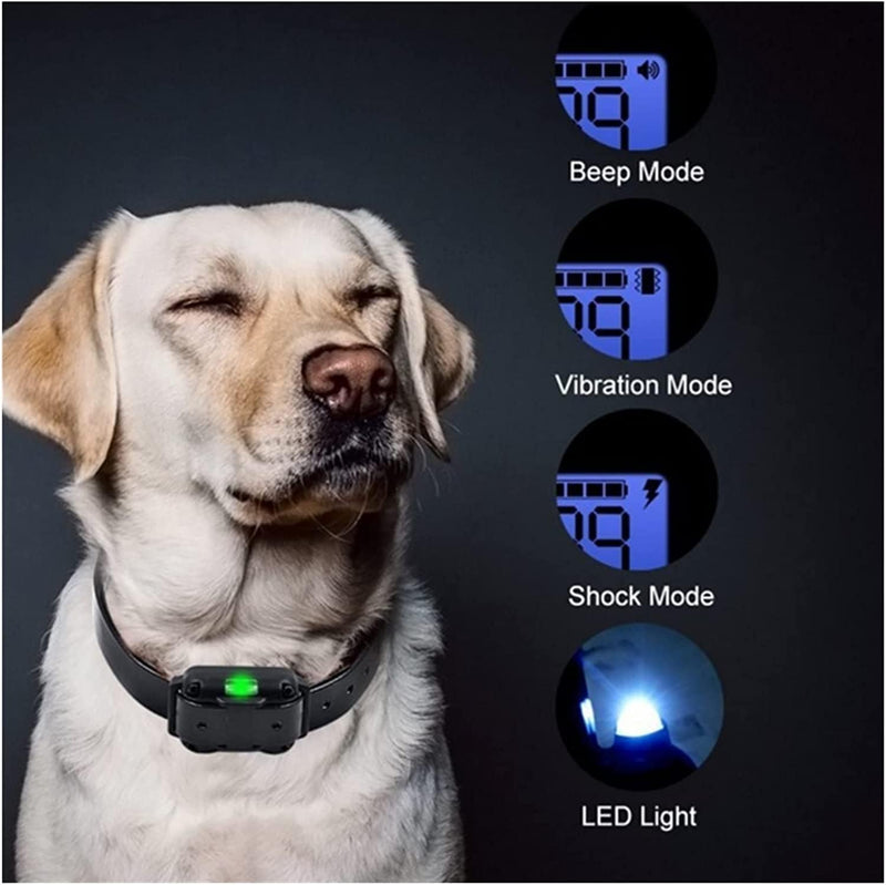 Dog Shock Collar with Remote Control – IP67 Waterproof Dog Training Collar with Beep, Vibration, Shock, Flashlight, Long-Lasting Battery, Safe for Dogs 8–120 lbs Orange