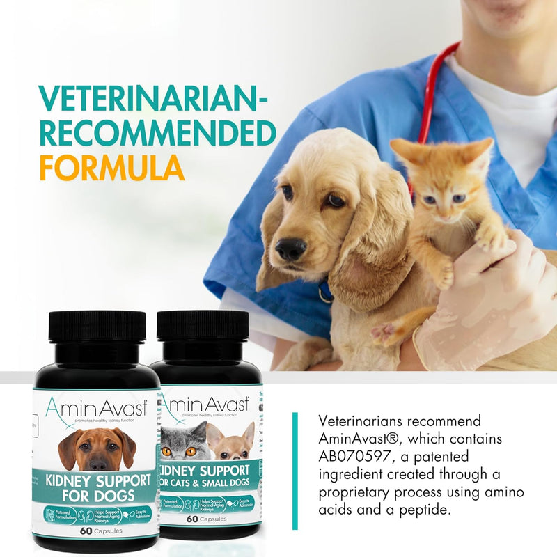 AminAvast Kidney Support Supplement for Cats and Dogs, 300mg - Promotes Natural Kidney Function - Aids in Health and Vitality of Aging Kidneys - Easily Administered - 60 Sprinkle Capsules - PawsPlanet Australia