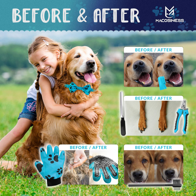 Pet Grooming Hammock for Nail Trimming - Dog Nail Clippers for Large Dogs - Pet Grooming Hammock with Hooks Dog Nail Clipper - Dog Hammock - Dog Sling for Small Dogs Lift Harness - Cat Harness - Pets PREMIUM SET - Aqua with black paws S - PawsPlanet Australia