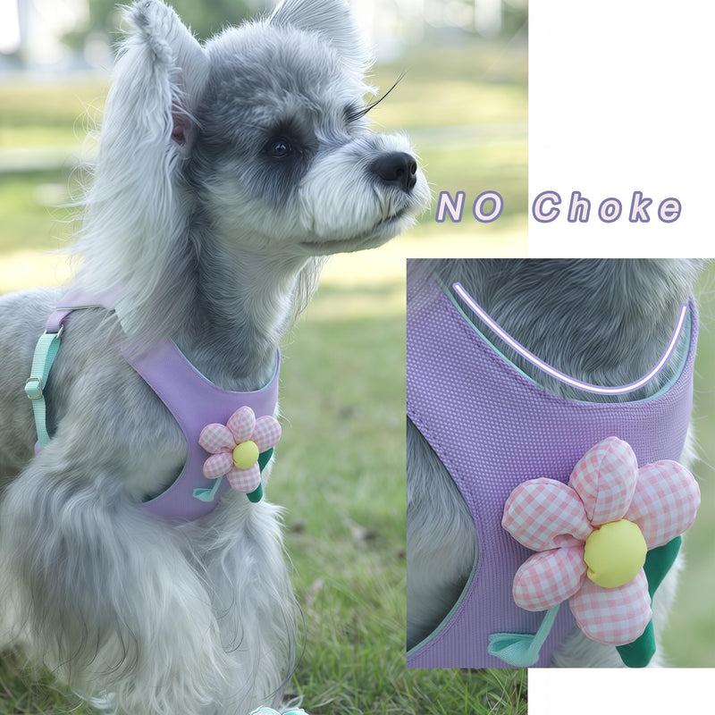 Dog Harness and Leash Set with 2 Flower Patches, No Pull Adjustable Puppy Harness, Step in No Chock Dog Vest for Small Medium Dogs Puppy and Cats(Purple, XS) XS(3.3-5.5lb） Purple - PawsPlanet Australia