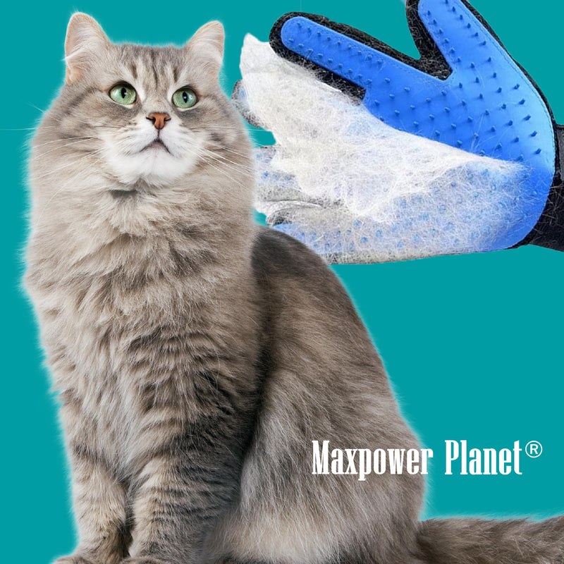Maxpower Planet Pet Grooming Gloves for Dogs and Cats - Grooming Mitt for Dogs -Cat Gloves - Hair Removal Bruh - All Hair Types Blue - PawsPlanet Australia