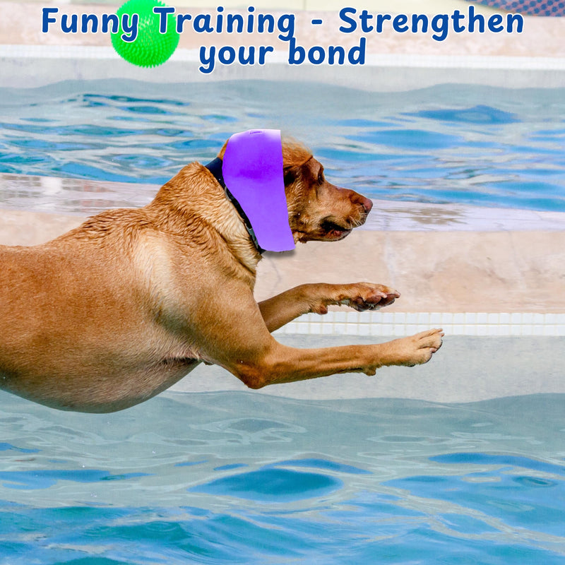 2pcs Dog Ear Covers for Swimming, Ear Protection for Dogs Bathing, Dog Bath Supplies, Ears Wrap for Dogs, Waterproof Ears Covers Swimming Cap, Adjustable Shower Cap, Puppy Swim Cap (Purple, Pink, M) Purple, Pink