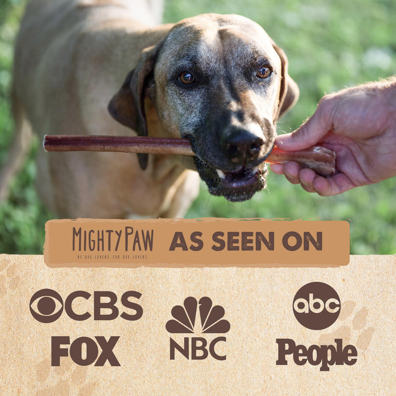 Mighty Paw Long Lasting 12" Bully Sticks for Dogs - All Natural Grass Fed Beef Chews. Lower Odor Dog Bully Sticks for Large Dogs, Medium and Small Breeds. Single Ingredient Treats - PawsPlanet Australia