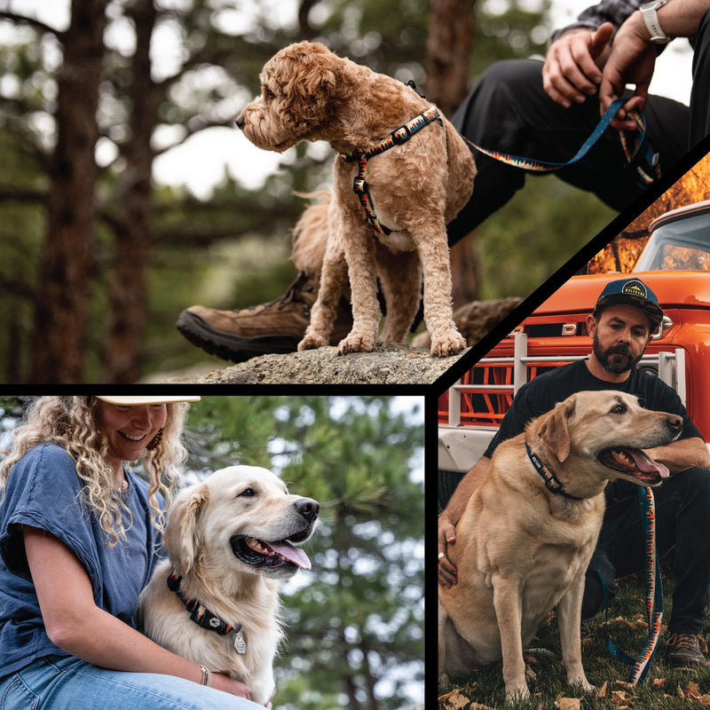Wolfgang Heavy Duty, Adjustable Dog Collar with Quick Release Nylon Buckle for Walking & Training, Overland Print, Large Large (1 Inch x 18-26 Inch) - PawsPlanet Australia