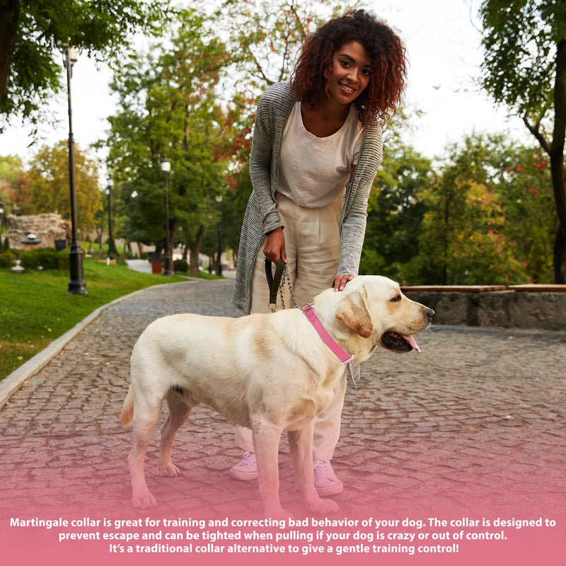 Martingale Dog Collar, Slip Martingale Collar for Dogs with No Buckle, Reflective Pet Trainning Collar for Small Medium Large Dog, Adjustable Heavy Duty Nylon No Pull Slip Collar, XS, Pink X-Small(Length:9-12'', Width:5/8'') A1-Pink - PawsPlanet Australia