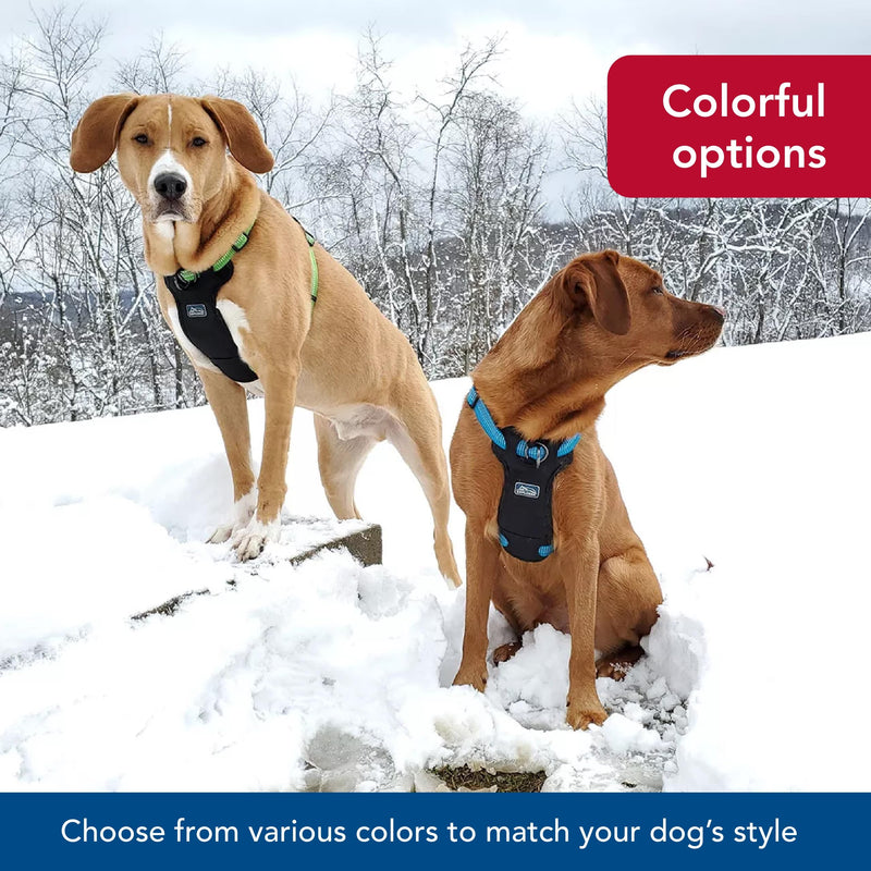 Coastal - K-9 Explorer - Brights Reflective Front-Connect Harness, Canyon, 1" x 20"-30" 1" x 20"-30" (Pack of 1) - PawsPlanet Australia