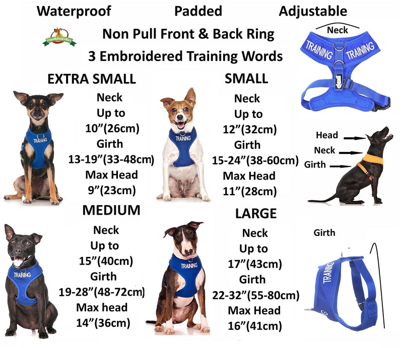 Training (Dog in Training/Do Not Disturb) Blue Color Coded Non-Pull Front and Back D Ring Padded and Waterproof Vest Dog Harness Prevents Accidents by Warning Others of Your Dog in Advance (XS) - PawsPlanet Australia