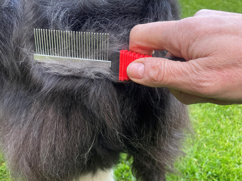 Masterclip Essentials Pet Grooming Set for Dogs Cats - Contains 8 Everyday Grooming Accessories; Dematting Comb, Nail Clippers, Nail Claw File, Double Sided Brushes & Comb, Grooming Glove & Flea Comb