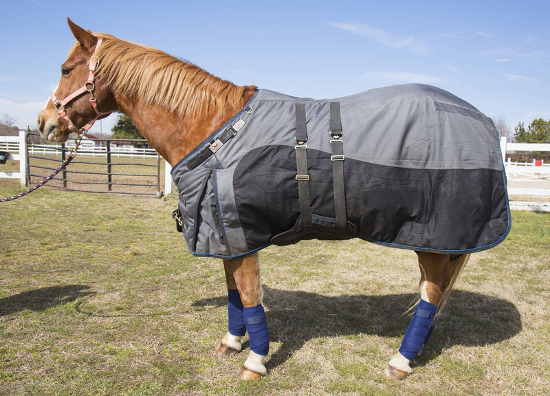 Intrepid International Polo Wraps for Horses Set of 4 Cotton Bandage Wrap, Horse Leg Wraps, Vet Wrap for Horses, Horse Size, Exercise Training Bandage Black - PawsPlanet Australia
