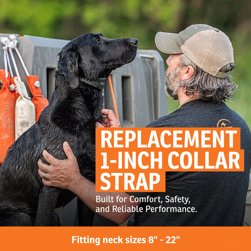 SportDOG 1-Inch Collar Straps - Waterproof Replacement Strap - Custom Fit Holes for Secure Fit - Rustproof Roller Buckle - Orange 1-Inch (Pack of 1)