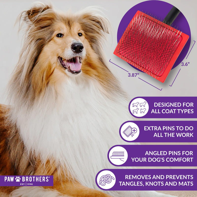 Paw Brothers Big Paw Slicker Brush for Long and Short Haired Dogs - Ideal for Doodles, Goldendoodles, Poodles, Long Pin Grooming Large - PawsPlanet Australia