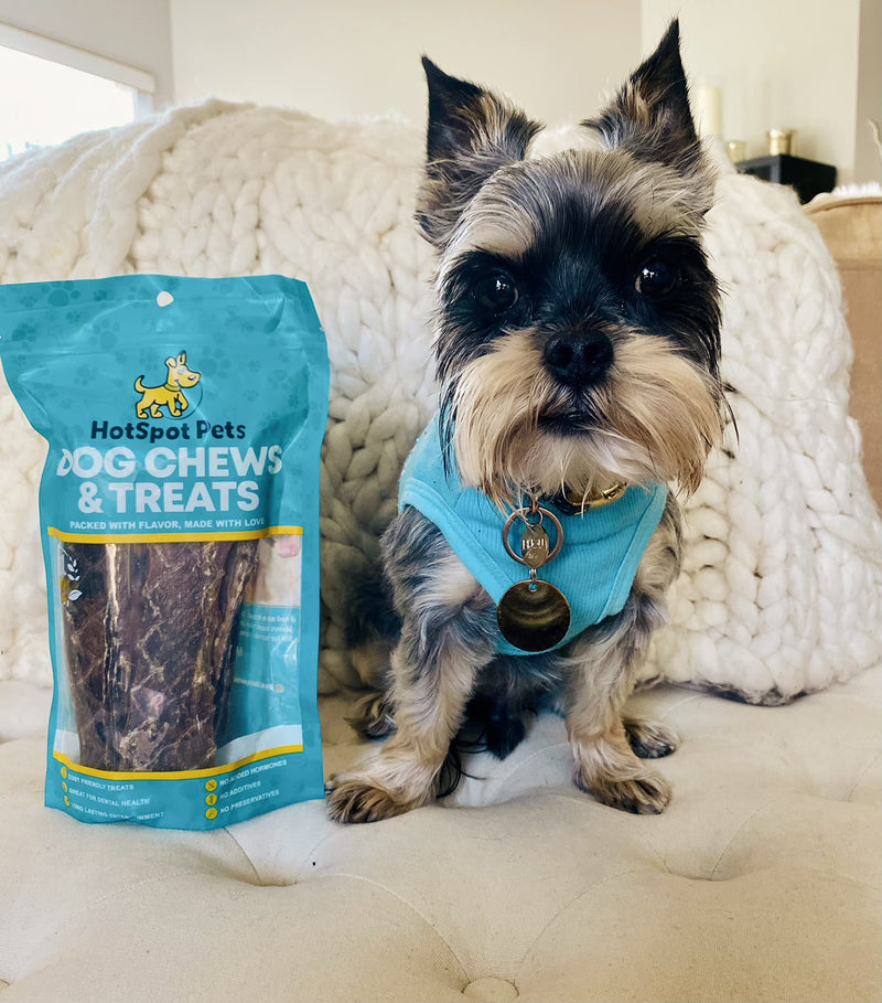 hotspot pets Beef Esophagus Dog Treats (6 INCHES) (1LB Bag) Grass Fed with No Added Hormone All Natural Jerky Dog Treats - Chews Rich in Glucosamine & Chondroitin for Joint Health 6 Inch - 1LB - PawsPlanet Australia