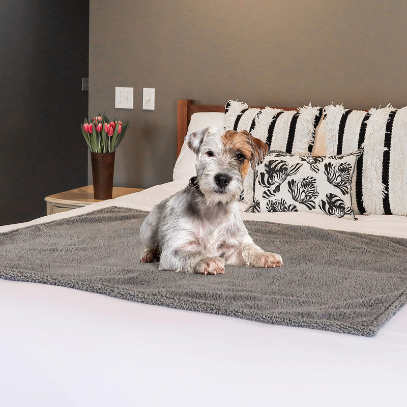 rocket & rex Medium Waterproof Dog Blanket, Grey, Washable Waterproof Pet Blanket Protects Beds, Couches & Other Furniture, Premium Fleece Fabric with Reversible Faux Suede, 30" x 40" (Pack of 1) 30 x 40" - PawsPlanet Australia
