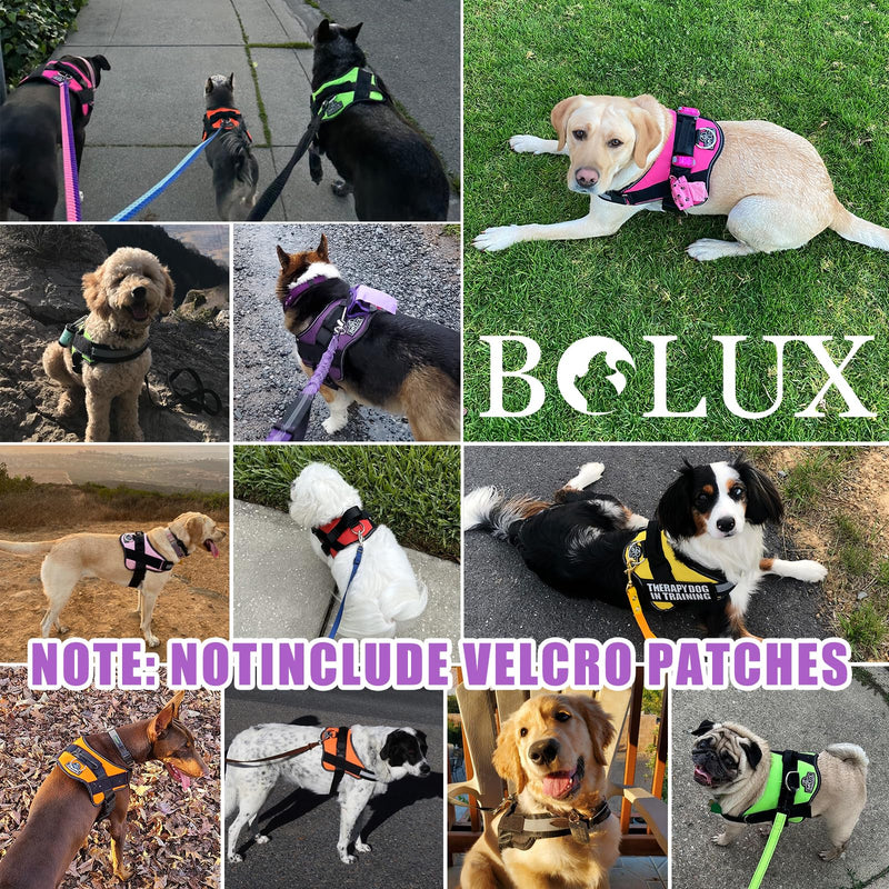Bolux Dog Harness, No-Pull Reflective Dog Vest, Breathable Adjustable Pet Harness with Handle for Outdoor Walking - No More Pulling, Tugging or Choking (Lavender, Medium (Pack of 1)) Medium (Pack of 1) Lavender - PawsPlanet Australia
