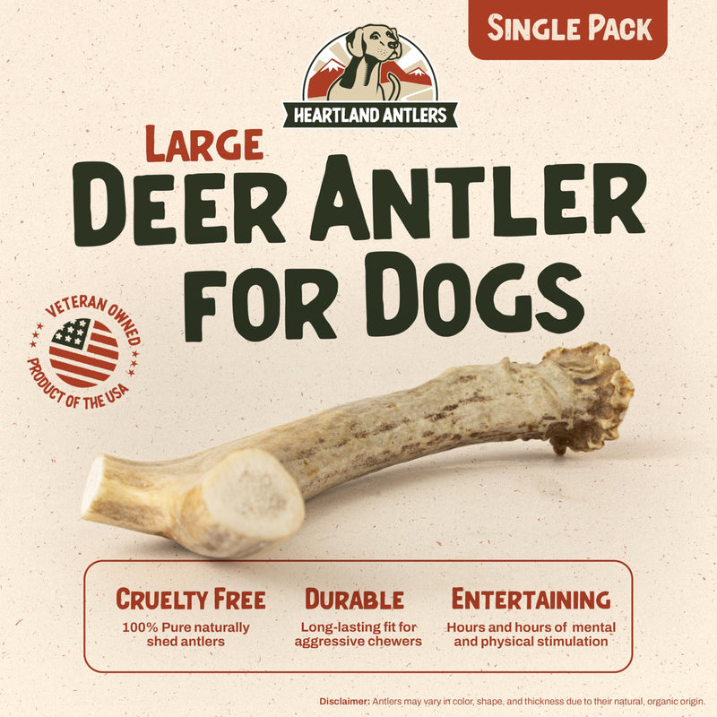 Heartland Deer Antlers for Dogs - Daily Dental Care Chews for Aggressive Chewers to Reduce Plaque & Prevent Destructive Behavior (Large, 6-8", 1-Pack, Grade A, USA Made) Large (Dogs 45-65 lbs) - PawsPlanet Australia