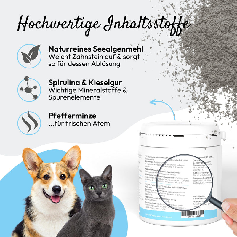 PHA Zahnschutz Plus Dental Powder for Dogs and Cats - Reduction of Tartar and Tartar, Against Bad Breath, Dental Care Dog Cat Teeth Cleaning, 150g 150g