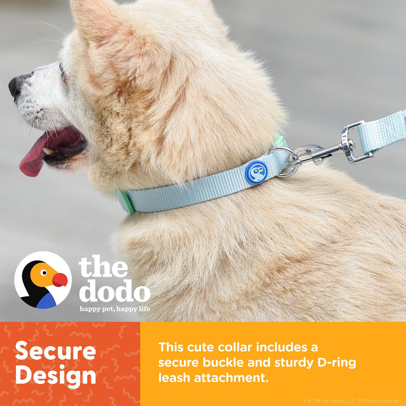 The Dodo All Nylon Blue and Green Collar and Leash Set - Small; Matching Cute Leash and Collar Set, Waterproof Dog Leash and Collar Set, Perfect for Beach Day or Trips to The Lake