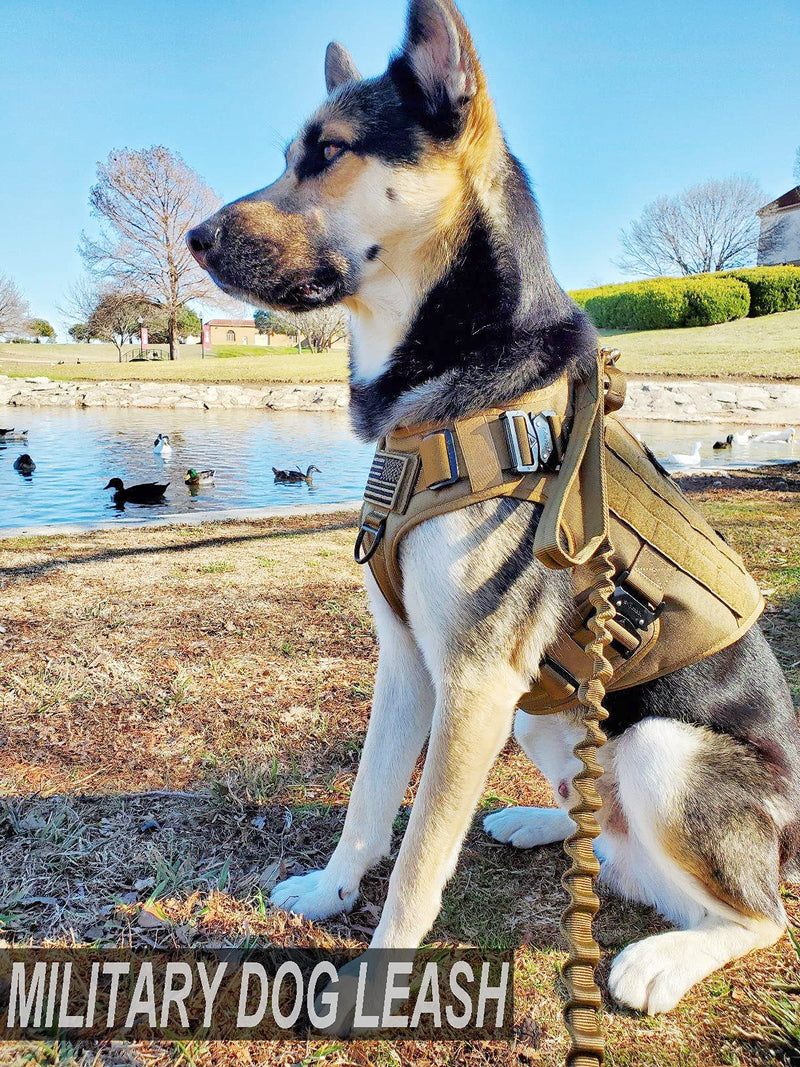 JiePai Tactical Dog Training Bungee Leash Military Dog Leash Quick Release Elastic Leads Rope with 2 Control Handle, 6ft for Medium Large Dogs, Black 6 Feet Black-Adjustable - PawsPlanet Australia