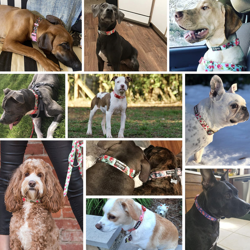 Blueberry Pet Essentials Pink Camo Print Camouflage Adjustable Dog Collar, Medium, Neck 14.5"-20" - PawsPlanet Australia