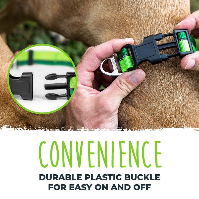 Mighty Paw Martingale Dog Collar 2.0 | Trainer Approved Limited Slip Collar with Stainless Steel Chain & Heavy Duty Buckle - Modified Cinch for Gentle & Effective Pet Training - Large, Green - PawsPlanet Australia