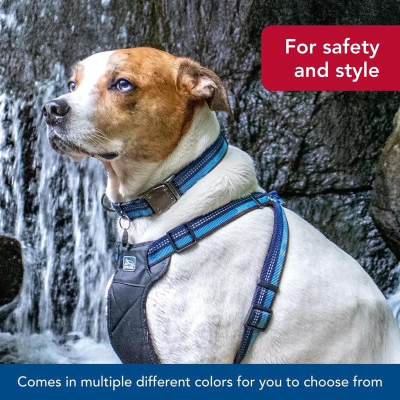 Coastal Pet K9 Explorer Reflective Adjustable Dog Collar - Comfortable Collar for The Outdoors - Durable, Lightweight Accessory with Side-Release Buckle - Rosebud, 5/8" x 10-14" 5/8" x 10-14"