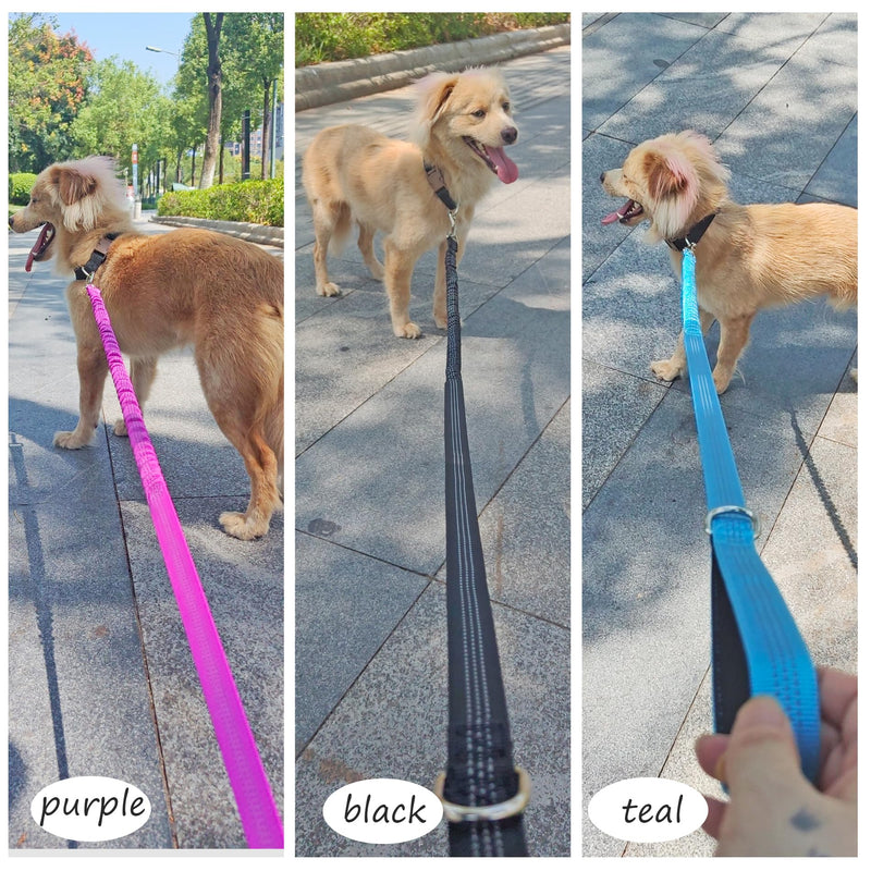 Bungee Dog Leash- 5FT Shock Absorbing & Reflective Nylon Leash | Anti-Pull Training for Small/Medium Dogs | 2cm Wide, 6 Colors (Teal) Teal - PawsPlanet Australia
