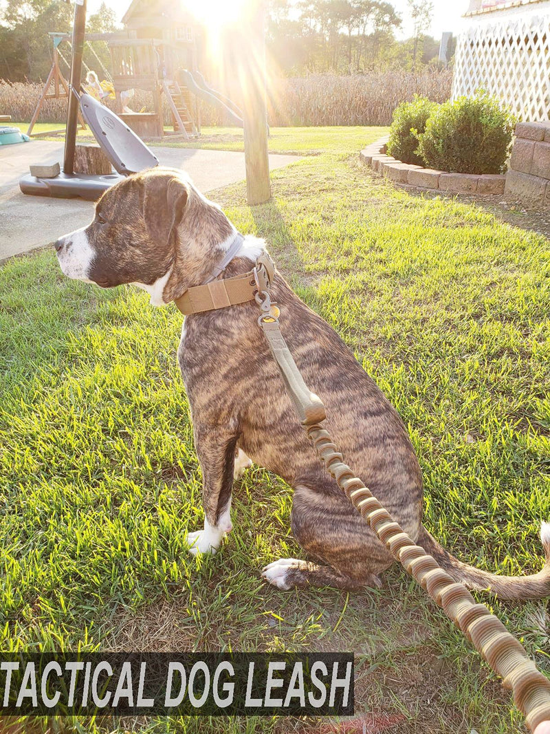 JiePai Tactical Dog Training Bungee Leash Military Dog Leash Quick Release Elastic Leads Rope with 2 Control Handle, 6ft for Medium Large Dogs, Black 6 Feet Black-Adjustable - PawsPlanet Australia
