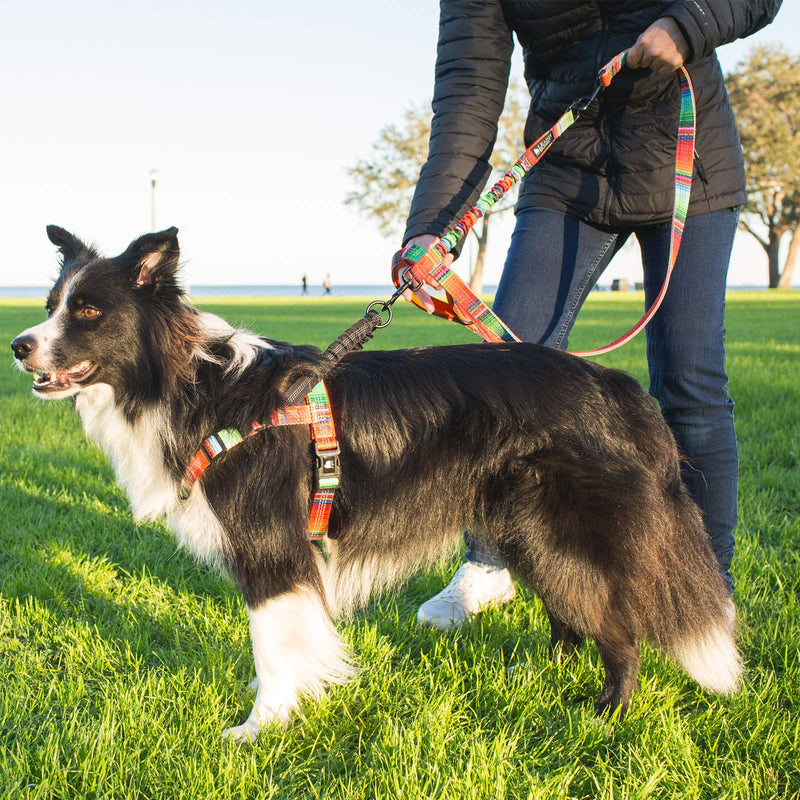Leashboss No Pull Dog Harness, Easy Walk for Small, Medium, and Large Pets, Reflective with Rear and Front Clip Attachment Orange - Blanket - PawsPlanet Australia