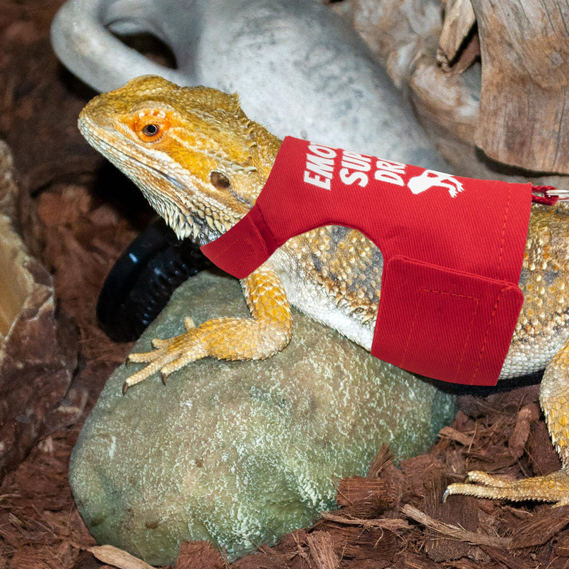 Bearded Dragon Harness and Leash Set - Escape Proof Adjustable Lizard Reptiles Harness with 5 ft Short Leash for Walking Outdoor Red - PawsPlanet Australia