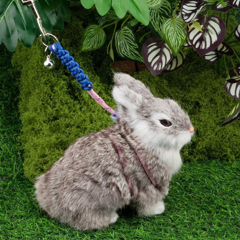 2pcs Figure 8 Harness and Leash with Reflective Strap and Bell for Ferrets, Rabbits, Bearded Dragon, Guinea Pig, Chinchilla and Hamster Small Animal Harness (Blue+Pink) Blue+Pink - PawsPlanet Australia