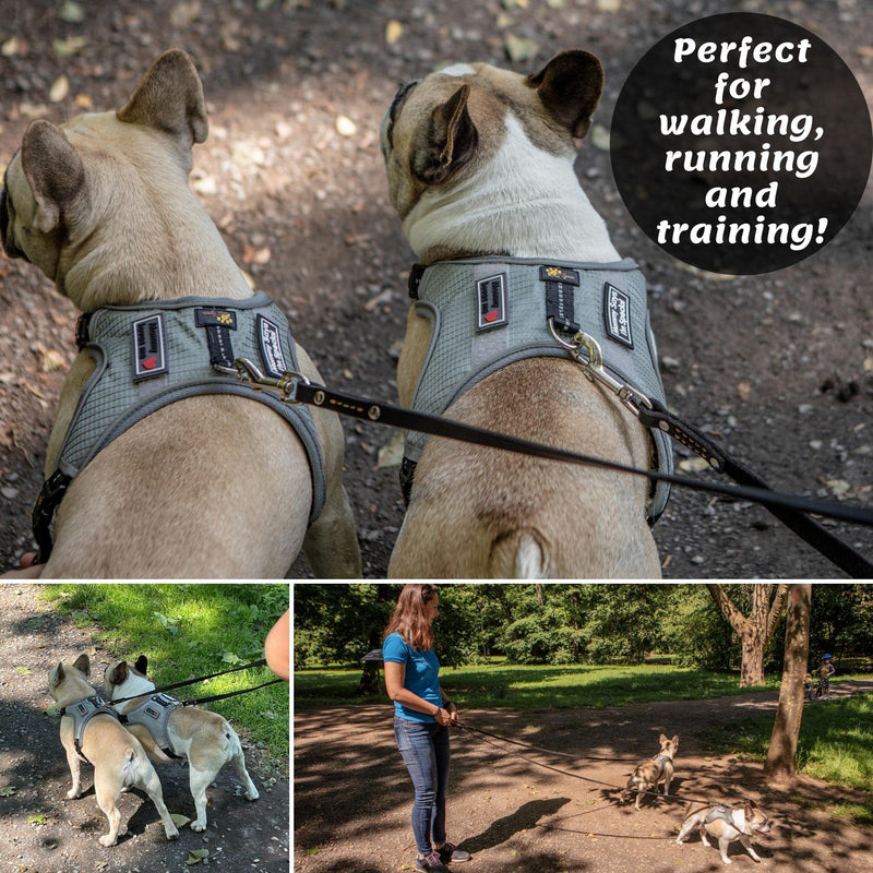 ADITYNA - Premium Leather Dog Leash - 6 ft, Heavy-Duty, Soft & Strong for Small/Medium Dogs (Medium: 6 ft x 5/8", Black) Medium: 6 ft x 5/8" - PawsPlanet Australia