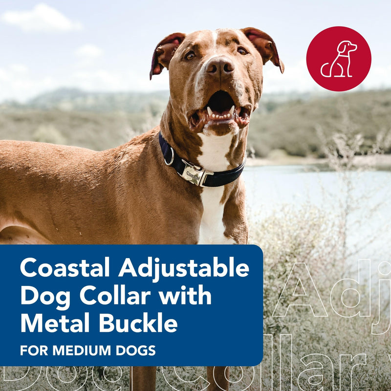 Coastal Pet Adjustable Dog Collar with Metal Buckle - Comfortable Fade-Resistant Dog Collar with Snap Lock - Perfect for Walking & Tie Outs - Blue Lagoon - 5/8" x 10"-14" 5/8" x 10" - 14" (Pack of 1)