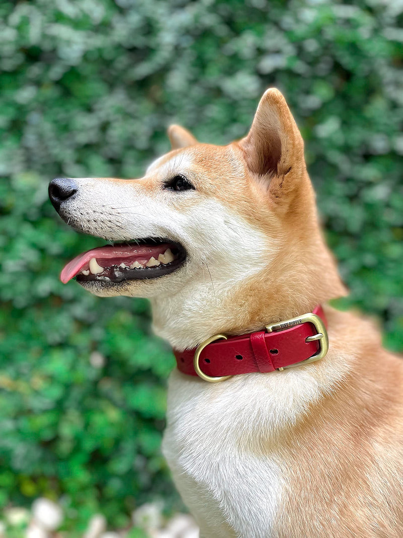 Tuff Pupper Classic Heavy Duty Dog Collar | 10x Stronger Than Leather | 100% Waterproof & Odor Proof Dog Collar | Tough Rust-Proof All Metal Hardware Crimson Red Medium (15 - 19" Neck) - PawsPlanet Australia