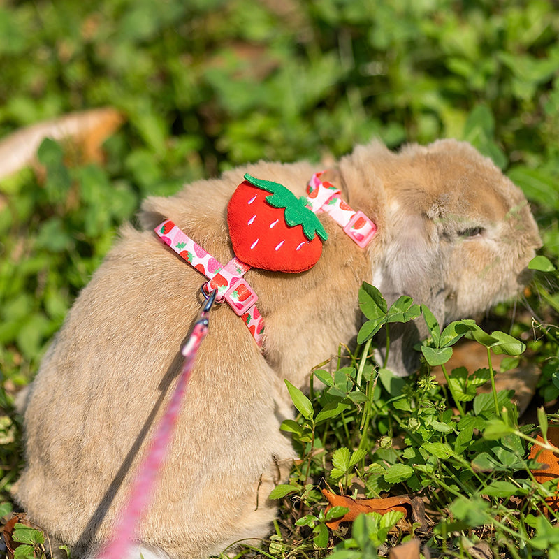 Rabbit Harness and Leash - Adjustable Bunny Harness Escape Proof for Walking Running Hiking Camping Outdoor - Pink Strawberry Pattern Cute Small Animal Harness Leash Set Neck 6.3"-9.8", Chest 7.8"-13.7" - PawsPlanet Australia