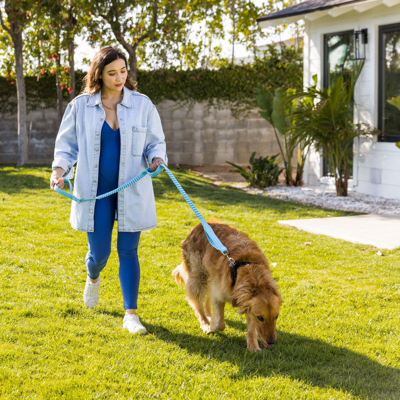 Shed Defender Shock Absorbing Bungee Leash - Three Padded Traffic Handles, Designed in The USA, Stretches 4-7ft, Elastic Dog Leash, Reflective Stitching, Large Dog & Small Breed, Heavy Duty, Red - PawsPlanet Australia