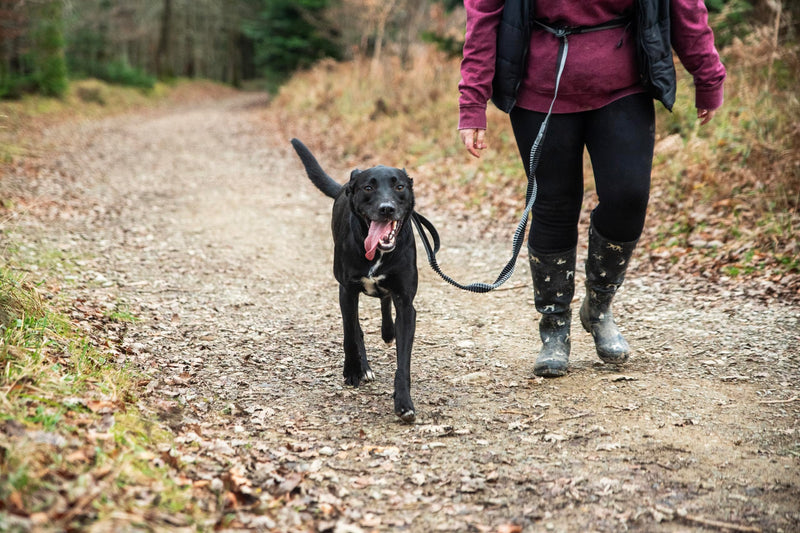 Mountain Paws Running Dog Lead | Hand-held Or Waist Mounted With Soft Grip Neoprene Handle, 1.4 Metres - PawsPlanet Australia