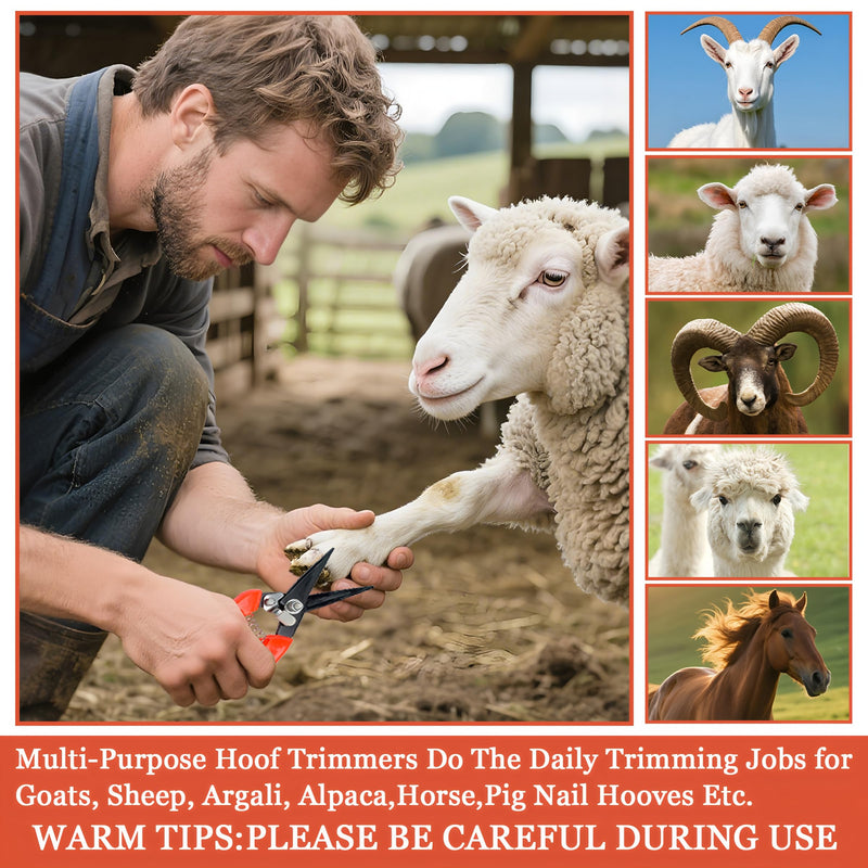 Goat Hoof Trimmers,Professional Hoof Care Trimming Shears Nail Clippers for Sheep,Goats,Alpaca,Lamb,Horse,Pig Hooves Multi-Purpose Pruning Versatile Steel Trimmer for Twig and Floral Scissor Tool - PawsPlanet Australia