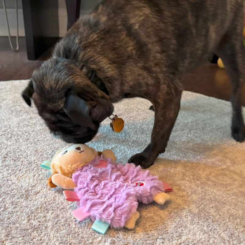 SPOT Soothers- Tabbie Lambie Dog Toy-Separation Anxiety Toys for Dogs, Stuffing Free, Scented with Calming Lavender Fragrance Beads to Safely Calm and Relax Dogs and Puppies, 8in - PawsPlanet Australia