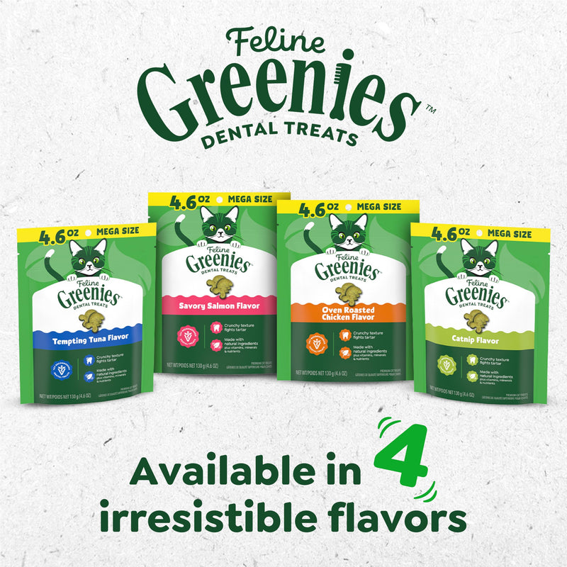 Greenies Cat Treats, Feline Veterinarian-Recommended Adult Natural Dental Treats, Catnip Flavor, 21 oz. Tub 1.31 Pound (Pack of 1) - PawsPlanet Australia