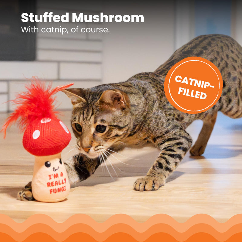 Catstages A Really Fungi Mushroom Kicker Catnip Toy and Dental Toy for Cats Mushroom Themed Funny Catnip Stuffed Kicker Toy, Red - PawsPlanet Australia