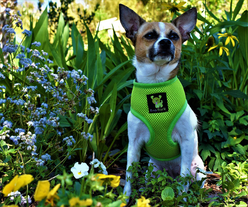 EcoBark Dog Harness - Eco-Friendly Max Comfort Harnesses - Luxurious Soft Mesh Halter - Over The Head Harness Vest- No Pull and No Choke for Puppy, Toy Breeds & Small Dogs (Small, Green) 2. Small-6 to 9 lbs - Neck Up to 9.8 in - PawsPlanet Australia