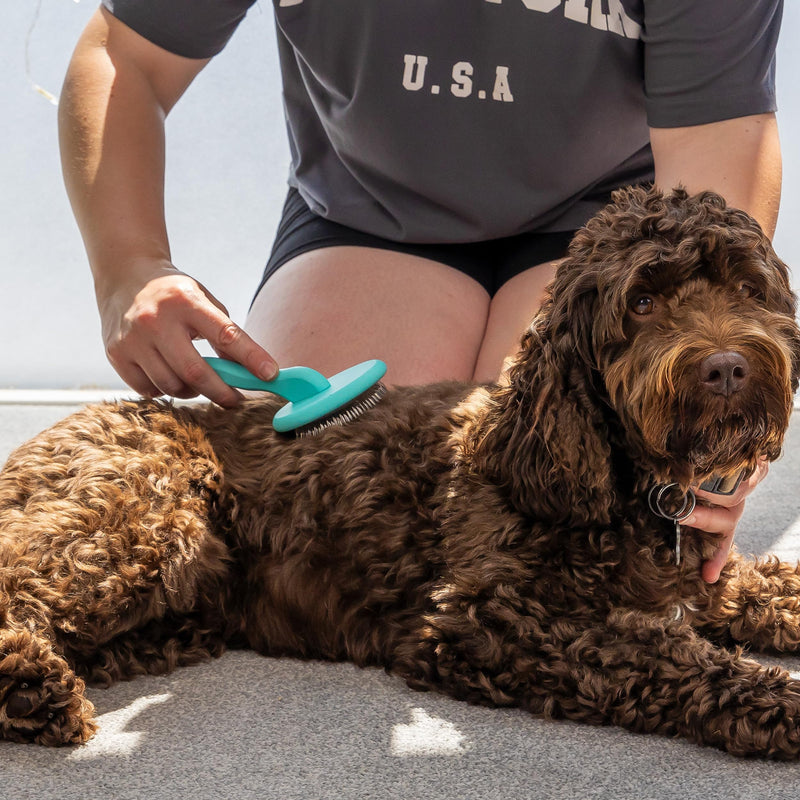 Masterclip Super Slicker Dog Brush – Oval Head with Flexi-Pins for Shedding & Detangling – Ideal for Curly, Double & Long Coats