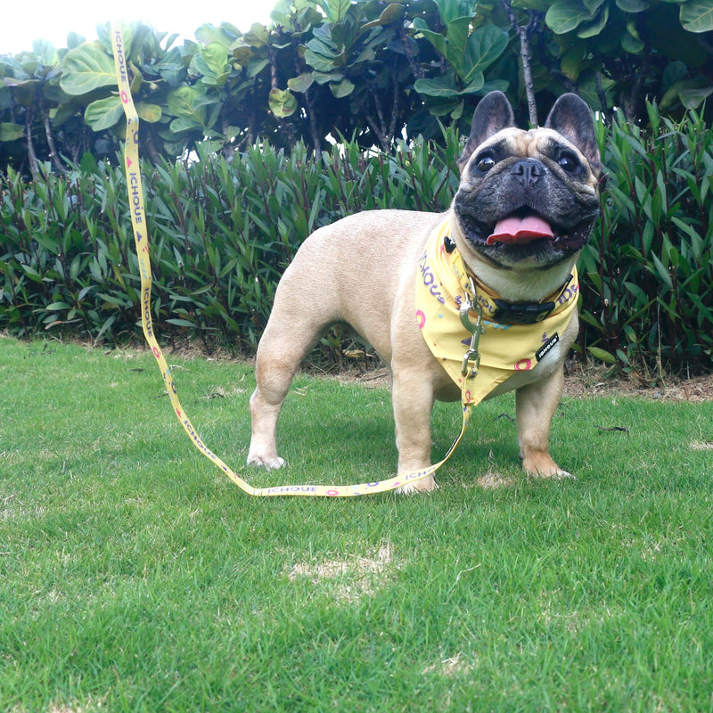 iChoue Original Print French Bulldog Collar with Leash Bandana Set Adjustable for Frenchie Pug English Boston Terrier Dogs, Yellow, Large Large ( 45 - 70 lbs ) Collar with Leash Bandana Yellow - PawsPlanet Australia