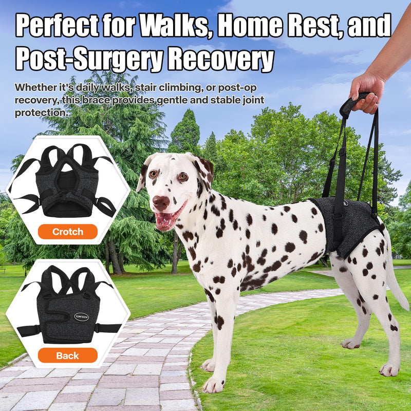 Dog Sling for Medium Large Dog Rear Leg, Lift Harness Provide Support with Muscle Atrophy and Joint Problems for Elderly Injured Arthritic Pet, Dog Weak Rear Legs Provides Rehabilitation Aid L-Waist(20"-25") Dark Grey - PawsPlanet Australia