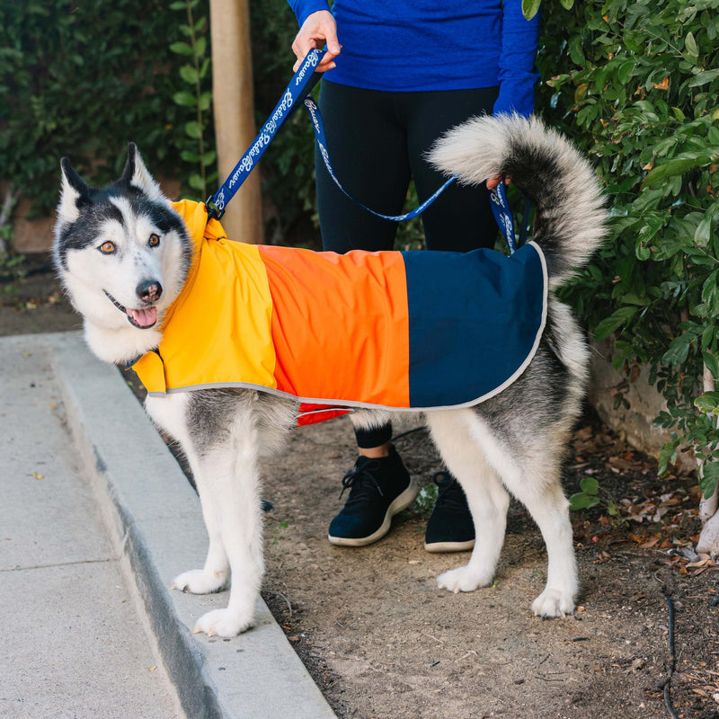 Eddie Bauer E23210XL Ravenna Colorblocked Dog Windbreaker Jacket in XL, Orange and Blue X-Large Yellow - PawsPlanet Australia