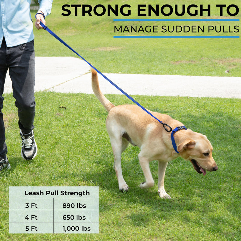 Essential Biothane Dog Leash, 3 Ft Training Lead, Cobalt Blue, Waterproof, Odor Proof, Made in USA, Self Locking Swivel Carabiner 3 Ft x 3/4" - PawsPlanet Australia