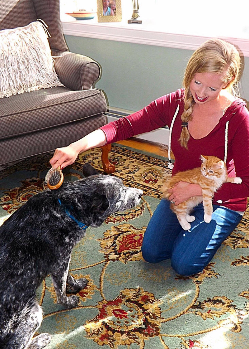 Double Sided Dog Brush - for Long or Short Haired Dogs and Cats Natural Bamboo Eco Friendly Pet Grooming Dual Sided Pin and Bristles for Deshedding Hair - PawsPlanet Australia