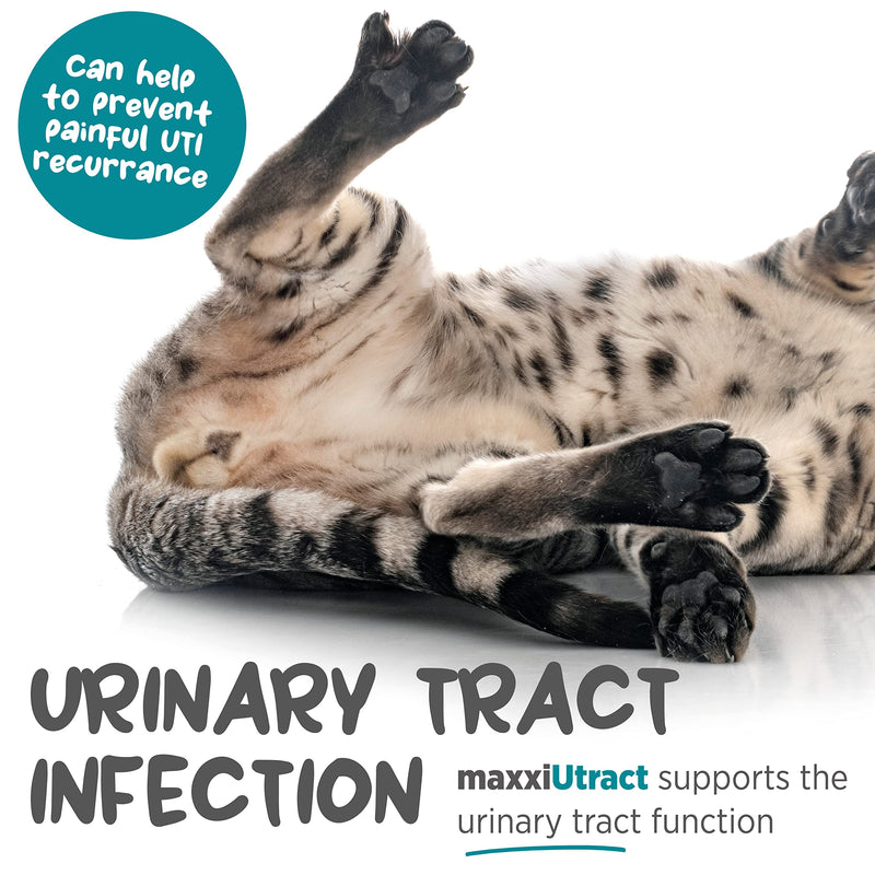 maxxiUtract Urinary and Bladder Supplement for Cats to Help Prevent UTI Recurrence and Support Optimum Urinary Tract Health (2.1 oz) 2.1 Ounce (Pack of 1)